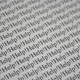 Imagen: Christopher Penler / Shutterstock